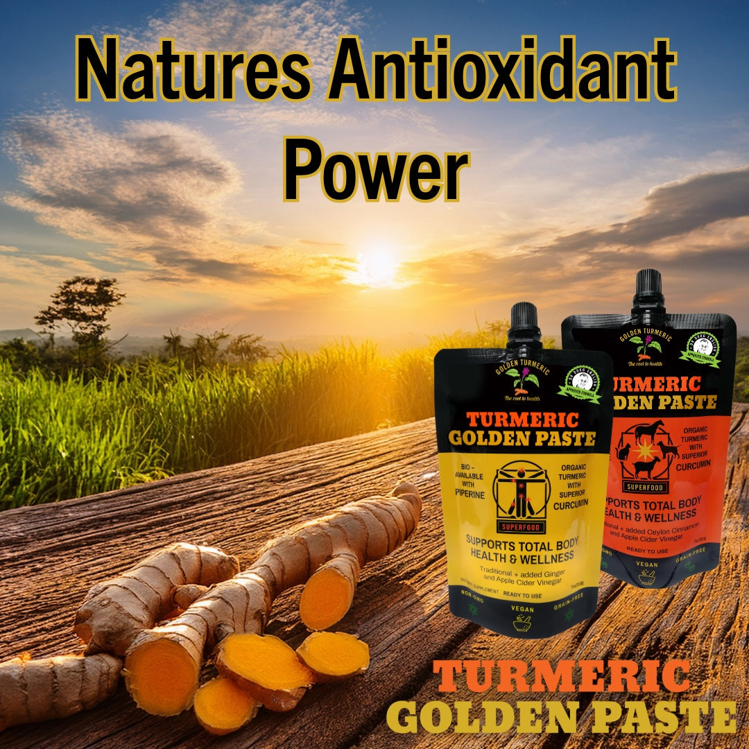Turmeric is a Powerful Natural Antioxidant