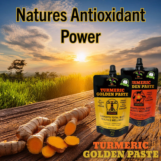 Turmeric is a Powerful Natural Antioxidant