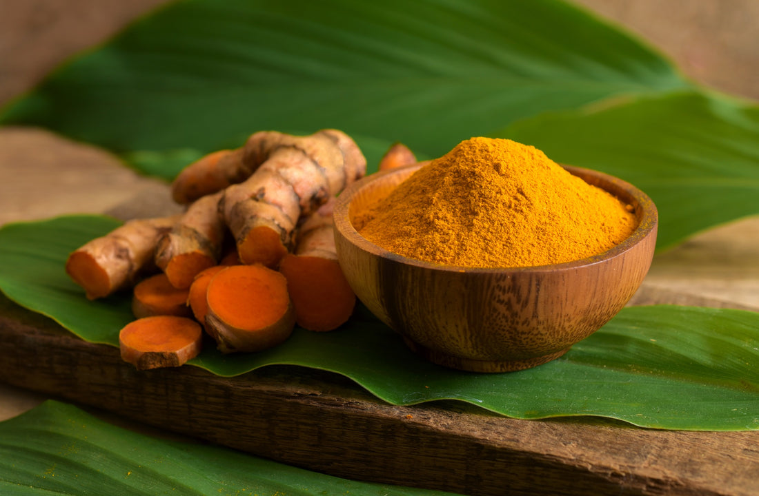 Turmeric NZ, Doctor Doug English, Golden Paste, Golden Turmeric, Turmeric Life, vegan, Turmeric New Zealand, Curcumin Supplement, Turmeric Health Benefits, benefits for dogs